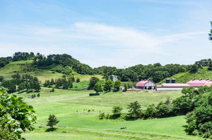 碇高原