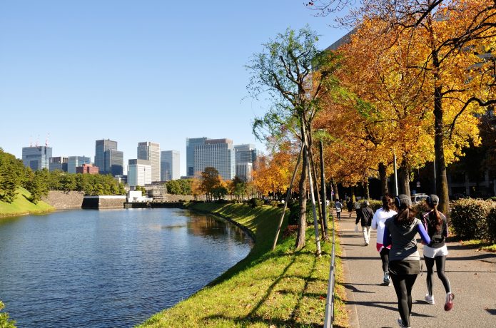 皇居周辺のランニング風景