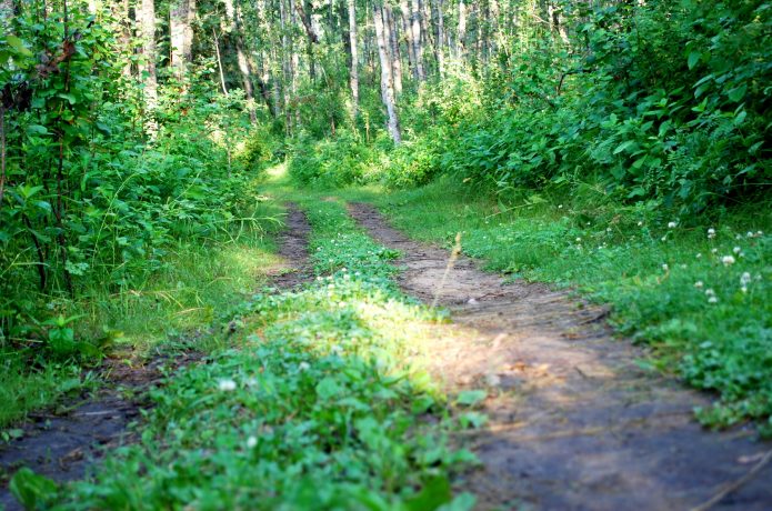 未舗装の山道