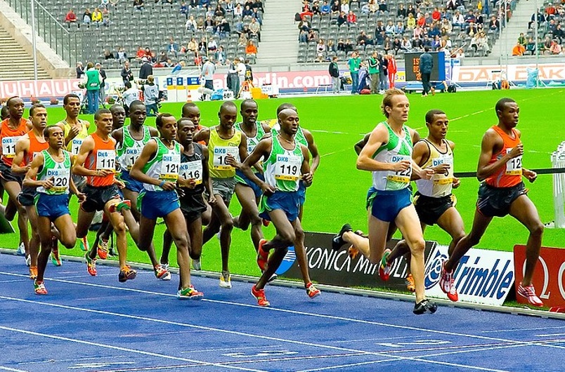 長距離レースに出場するランナーたち