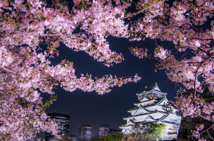 春の大阪城　桜