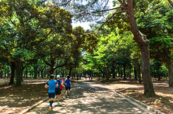 代々木 公園 ランニング ステーション