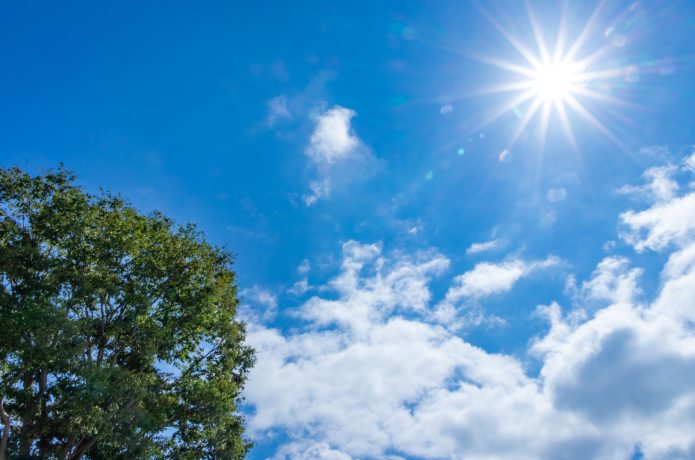 夏　太陽　雲　木