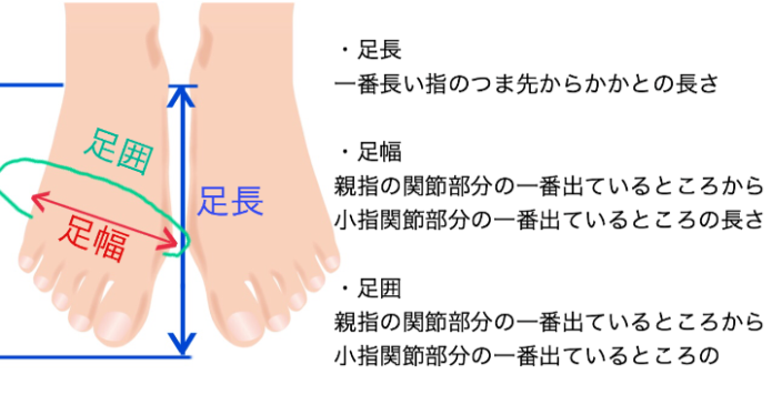 足のサイズ　計測方法