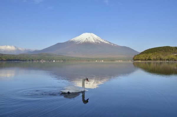 富士山　山中湖