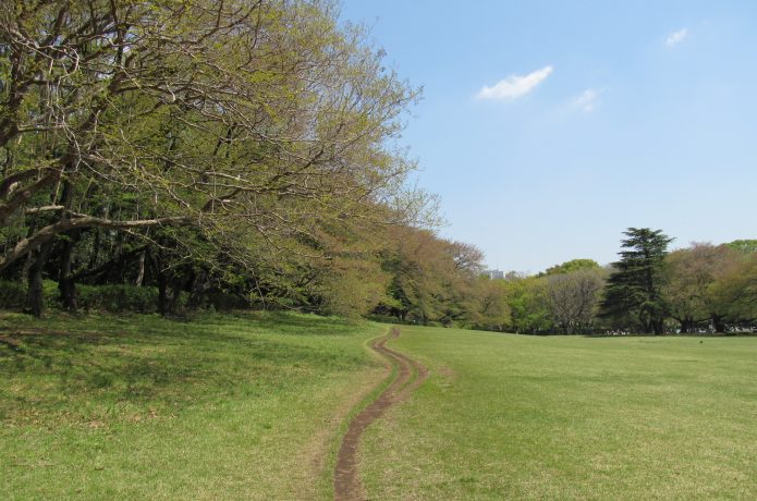 砧公園　クロカンコース 