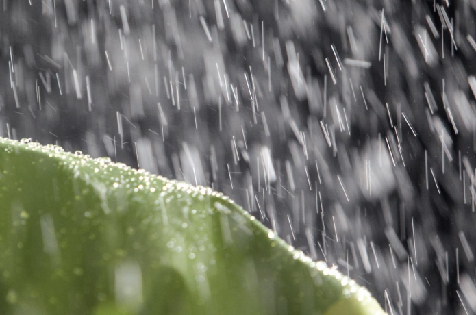 レインウェアに雨が打ち付ける様子