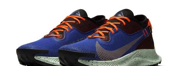 NIKE - ナイキ ペガサス トレイル 2 GORE-TEX 国内販売中/11月16日発売予定】ナイキ ペガサス トレイル 2