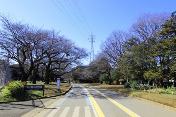 駒沢公園　ランニングコース