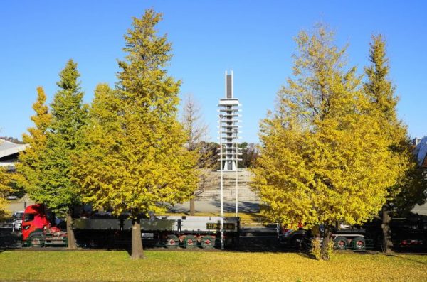 駒沢公園　風景