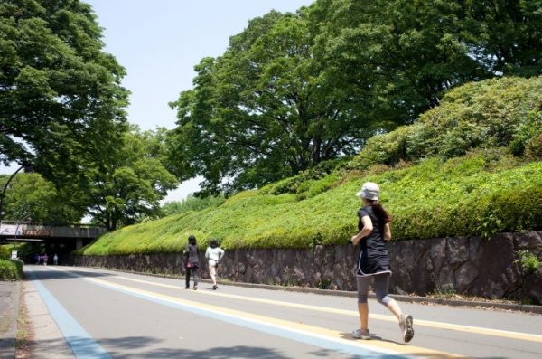 駒沢公園　ランナー