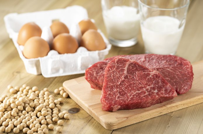 たまご、赤身肉、大豆、牛乳などタンパク質のイメージ