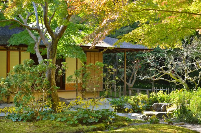 万博公園の有料エリア