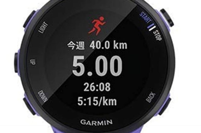 Garmin　表示画面