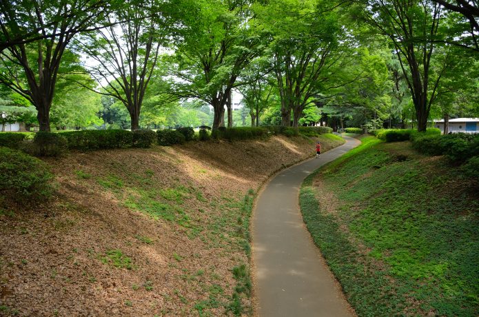 クロスカントリー走　自然公園